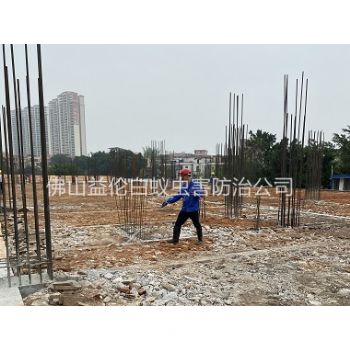 肇庆白蚁公司新建预防白蚁