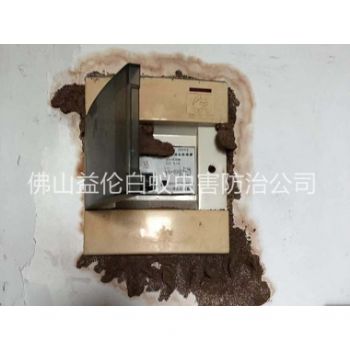 佛山市防治电箱白蚁蚁害