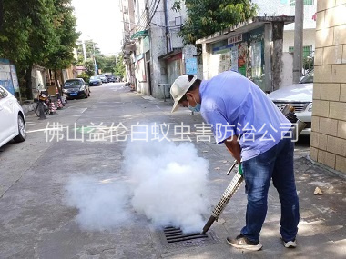 鼎湖村居登革热消杀工程