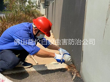 四会红火蚁防治工程