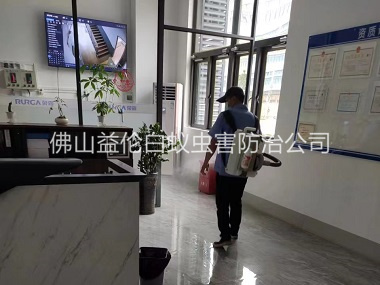 肇庆室内消杀蚊蝇工程