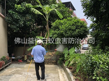 广宁社区除四害工程