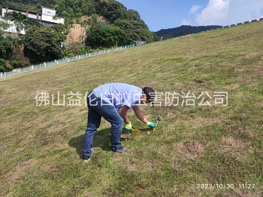 德庆水利白蚁防治工程