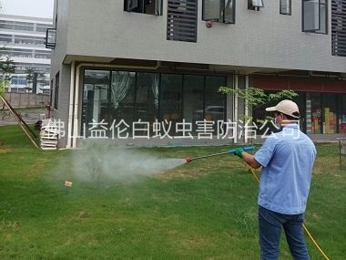 四会消杀蚊虫害工程