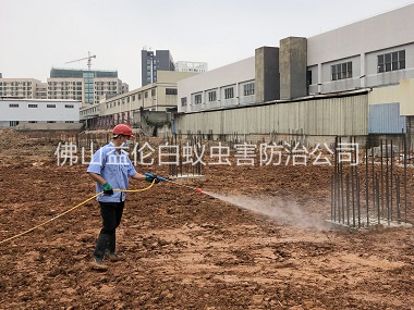 肇庆新建白蚁预防工程
