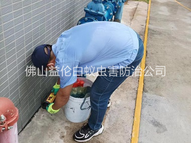 端州厂区施药灭鼠工程