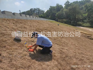 鼎湖堤坝白蚁防治工程