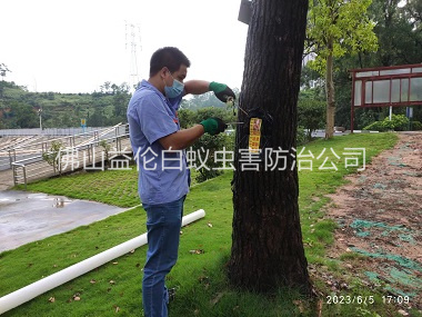广宁园林绿化灭治白蚁