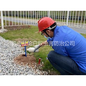 广宁红火蚁防治工程