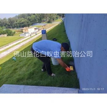 四会堤坝鼠害防治工程